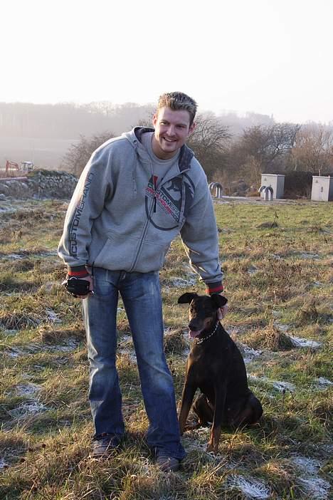 Dobermann Asja (Død) R.I.P - pust støn...far det her er sku hårdt! billede 16