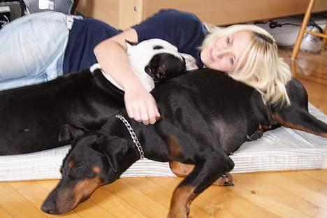 Dobermann Asja (Død) R.I.P - puh det er hårdt at være på besøg hos svogeren billede 17