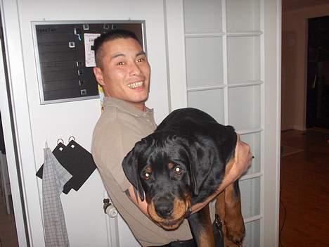 Rottweiler Phoco * Himmelhund 2018 * billede 11