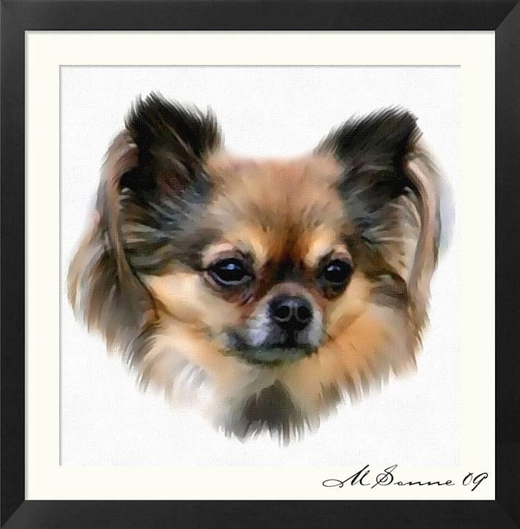 Chihuahua Chili *RIP* - Lavet af Det Lille Blå Lyn & Den Sorte Banditræv´s moar. Takker mange gange.  billede 17