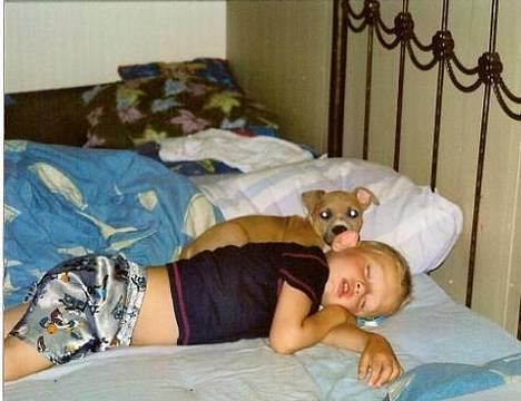 Amerikansk staffordshire terrier Nala. født 18/5-2005 - Når Lucas sover, så Nala også putteklar.. billede 10