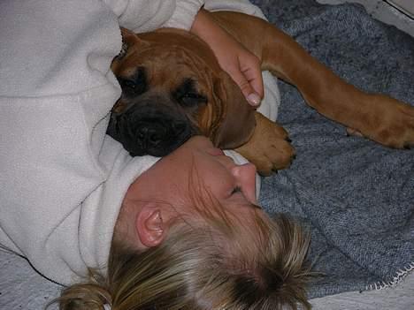 Boerboel Cozy død 11/7-06 - 3mdr gammel blir man jo lidt træt så er det godt man kan putte billede 3