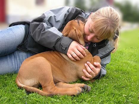 Boerboel Cozy død 11/7-06 - Mummy jeg vil gerne have et knuzzzzzzzzzzzz billede 5