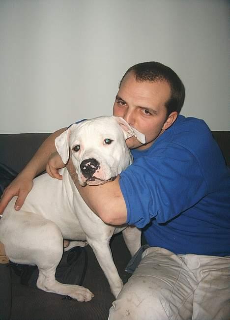 Amerikansk bulldog Terkel - Kvalitets tid med far (Lækkert) billede 17