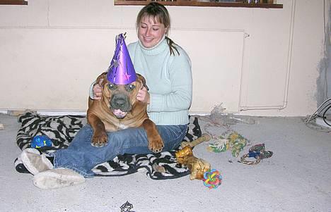 Boerboel Cozy død 11/7-06 - sikken fest vi har haft nu i nat å jaå jaå billede 14