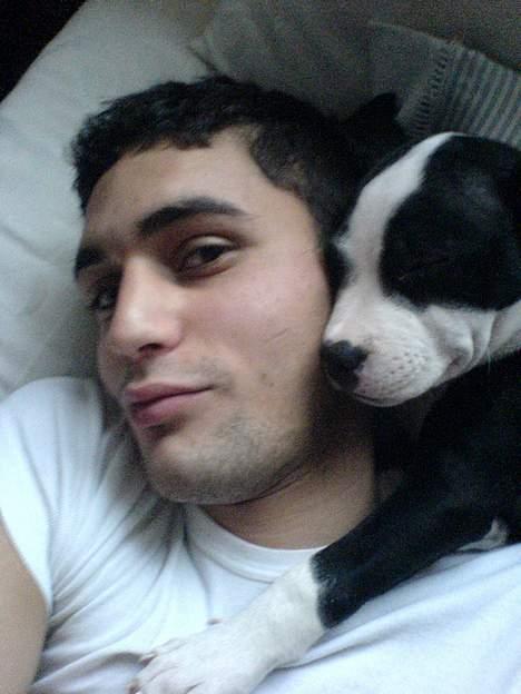 Blanding af racer Samson - En morgen jeg stod op, og der lå han. billede 10