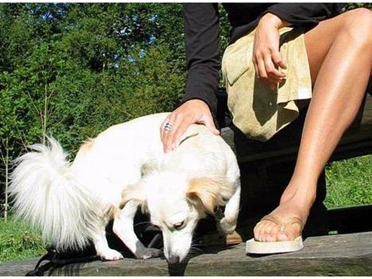 {{currentPhoto.altText}} billede {{currentPhoto.number}}