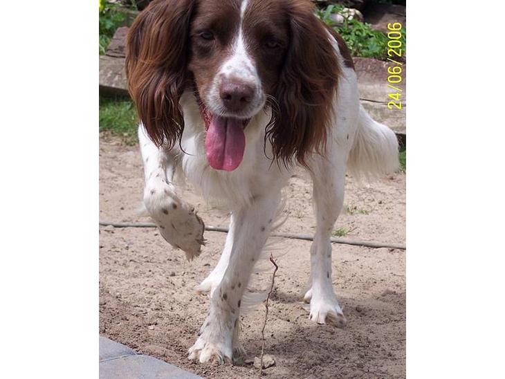 {{currentPhoto.altText}} billede {{currentPhoto.number}}