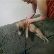 Blanding af racer KiKi