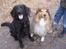 Blanding af racer Tess - Tess og hendes bedste ven Elvis <3 12/3-11