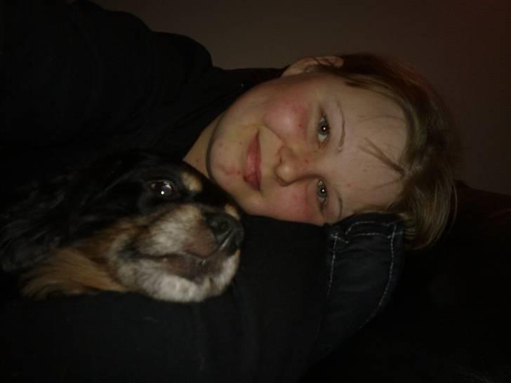 Blanding af racer Max - Ynglings beskæftigelse. Putte på sofaen med min mor. Jeg er "mors dreng" billede 7