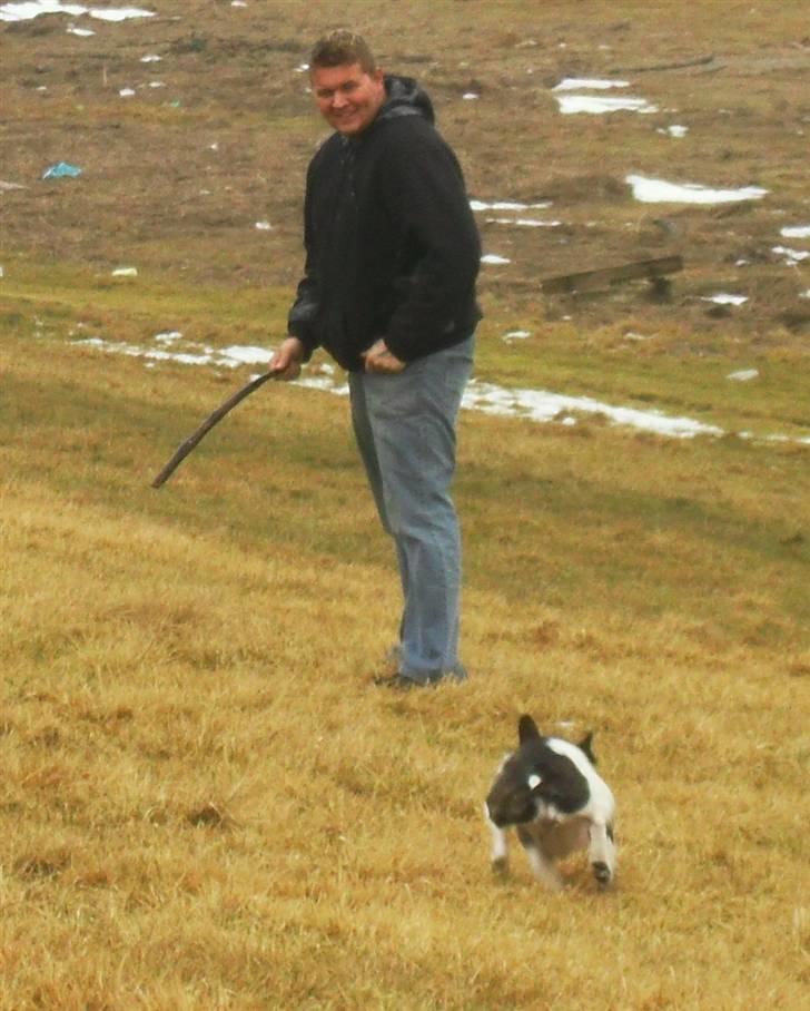 Fransk bulldog Fie billede 10