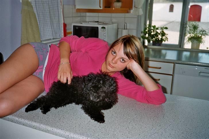 Dværgpuddel Zenta - en hygge dag med Rikke :)  billede 2