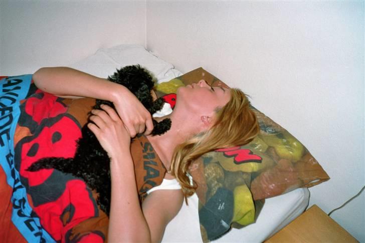 Dværgpuddel Zenta - Dagen Rikke fik mig til hendes fødselsdag :)  billede 3