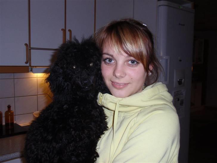 Dværgpuddel Zenta - Rikke og jeg :)  billede 10