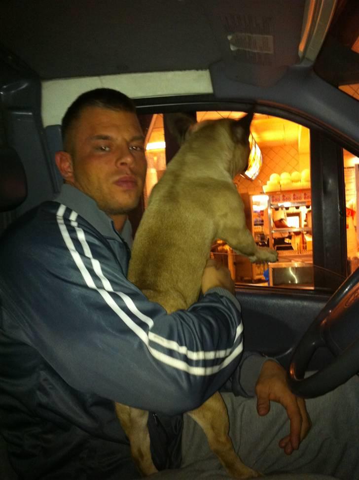 Fransk bulldog Van Wilcora Micki (Rip min skat) - MC DONALD :-D . Her får jeg altid guffer´ og det ved jeg, så jeg er klar til de kommer .  billede 8