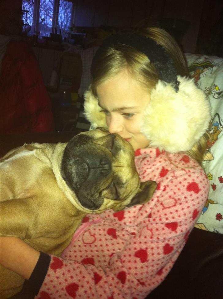 Fransk bulldog Van Wilcora Micki (Rip min skat) - Her putter jeg hos Lindsay, min gode menneske veninde på 7 år :-) billede 10