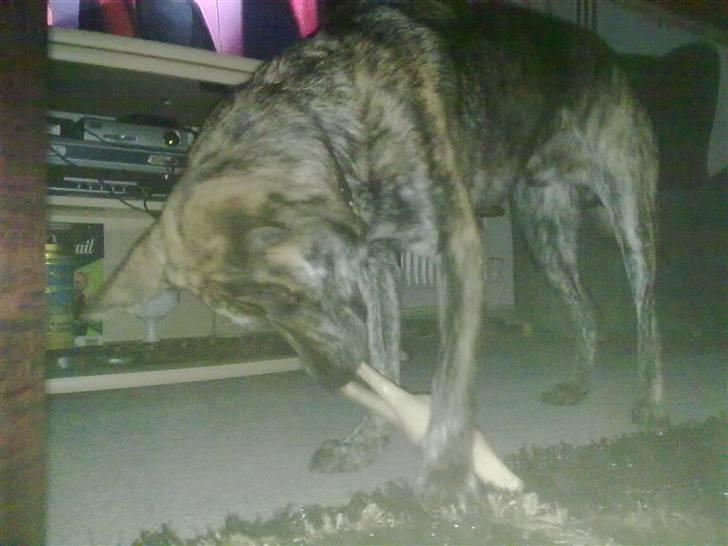 Blanding af racer - Lalaki! :* billede 3