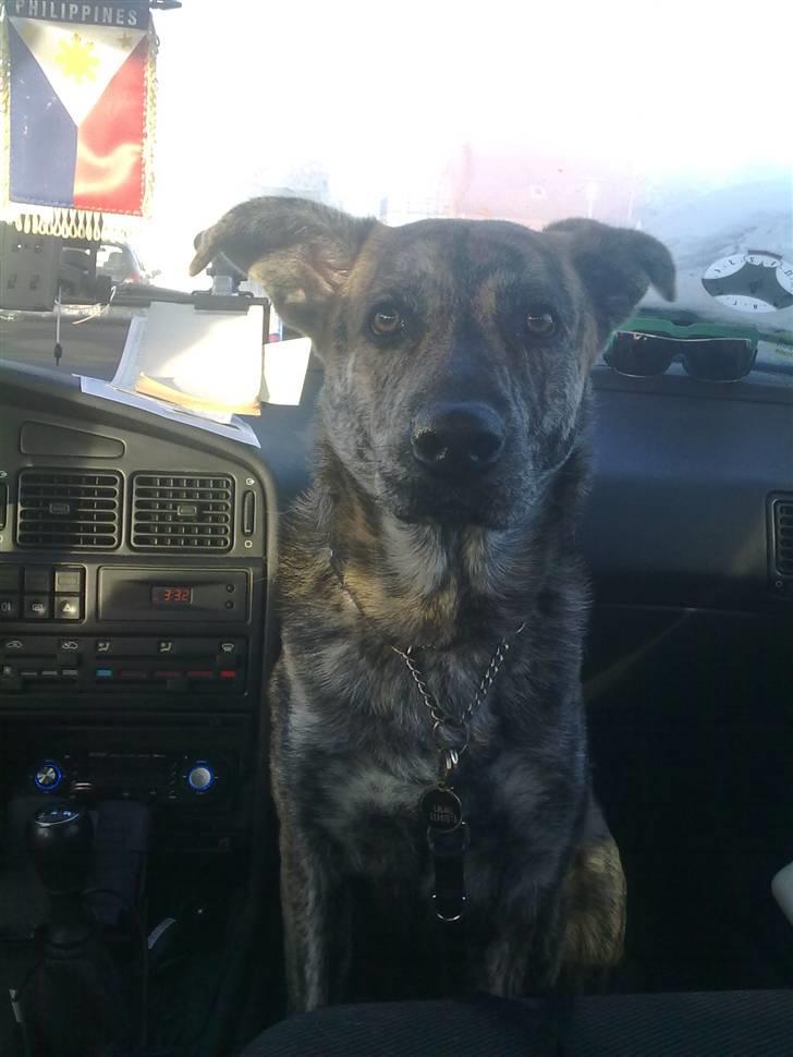 Blanding af racer - Lalaki! :* billede 4