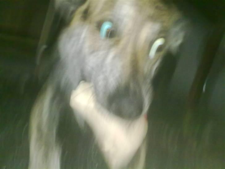 Blanding af racer - Lalaki! :* billede 6