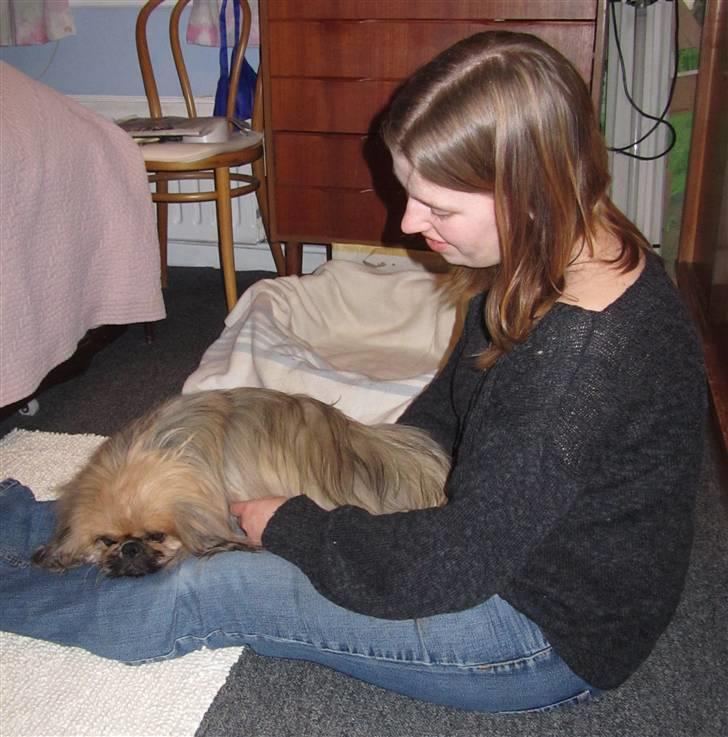 Pekingeser Lunde <3 - Lunde og mig. Han har leukæmi :´( Taget den 4 marts 2011 billede 18
