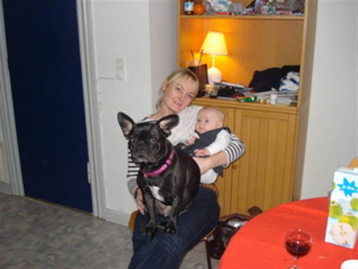 Fransk bulldog Alberte - Blev så jaloux på mor og babyen, at jeg liiige måtte mænge billede 8