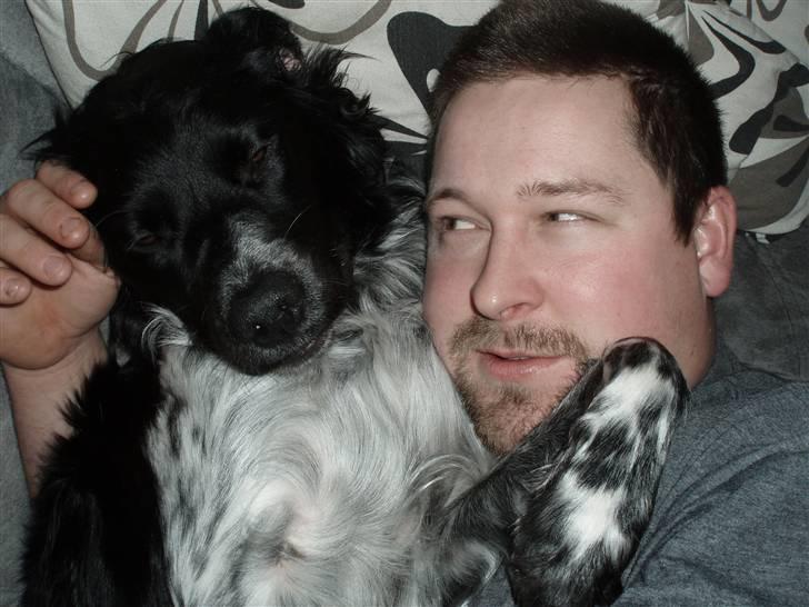 Blanding af racer Felix billede 11