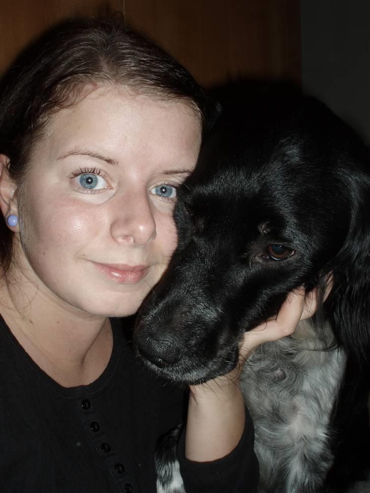 Blanding af racer Felix billede 12