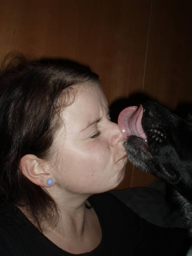 Blanding af racer Felix billede 13