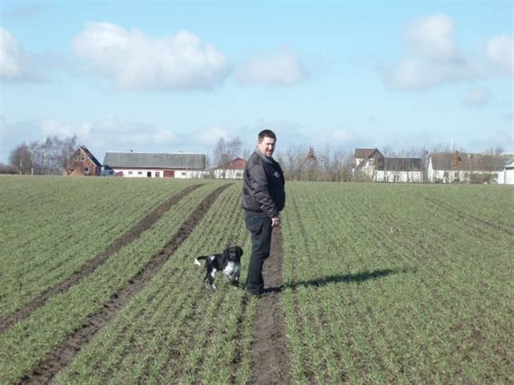 Blanding af racer Felix billede 17