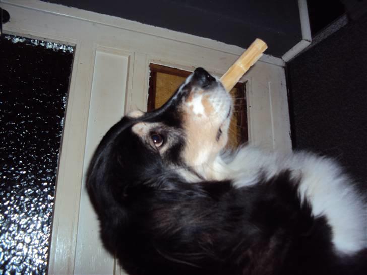 Blanding af racer tulle billede 16