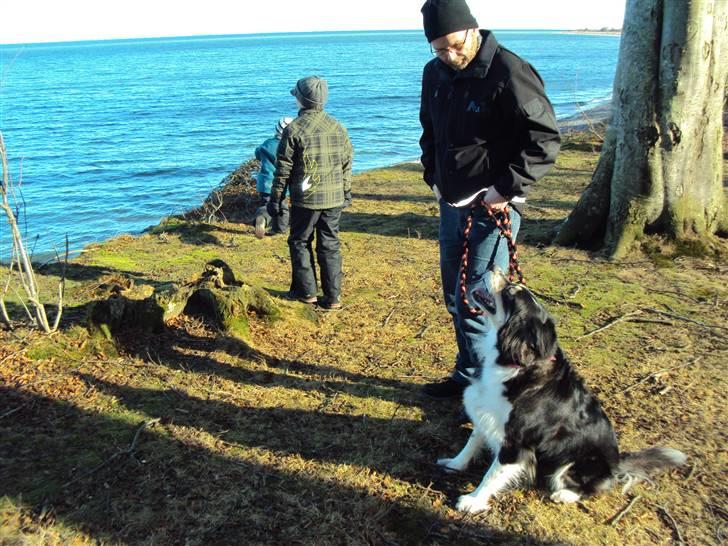 Blanding af racer tulle billede 17