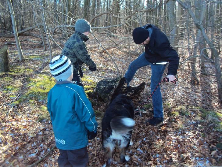 Blanding af racer tulle billede 18