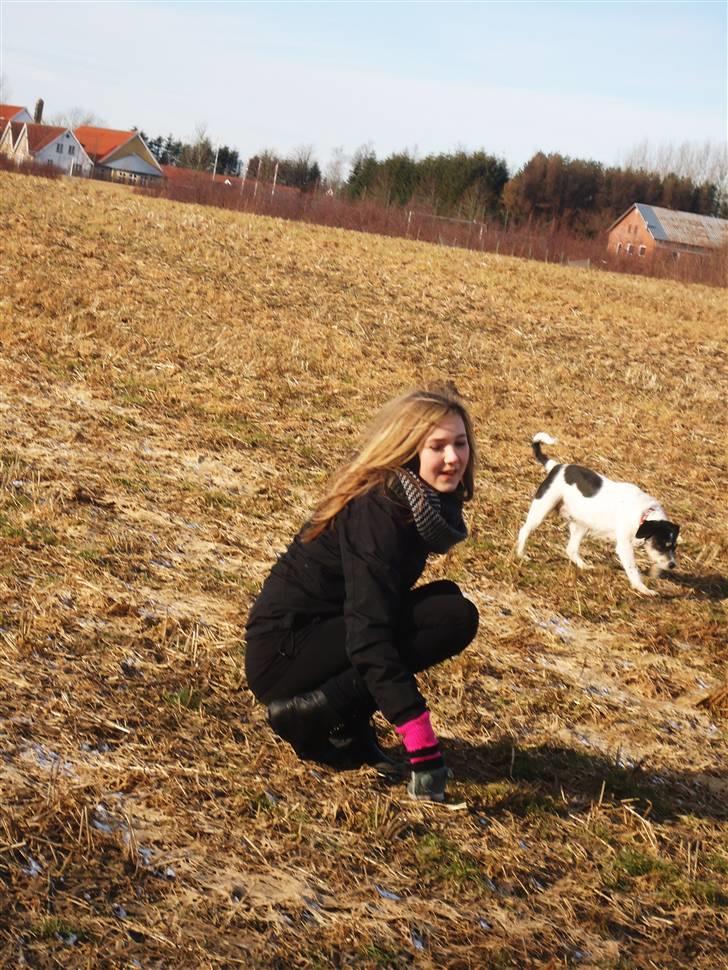 Blanding af racer Perle;i<3 billede 2