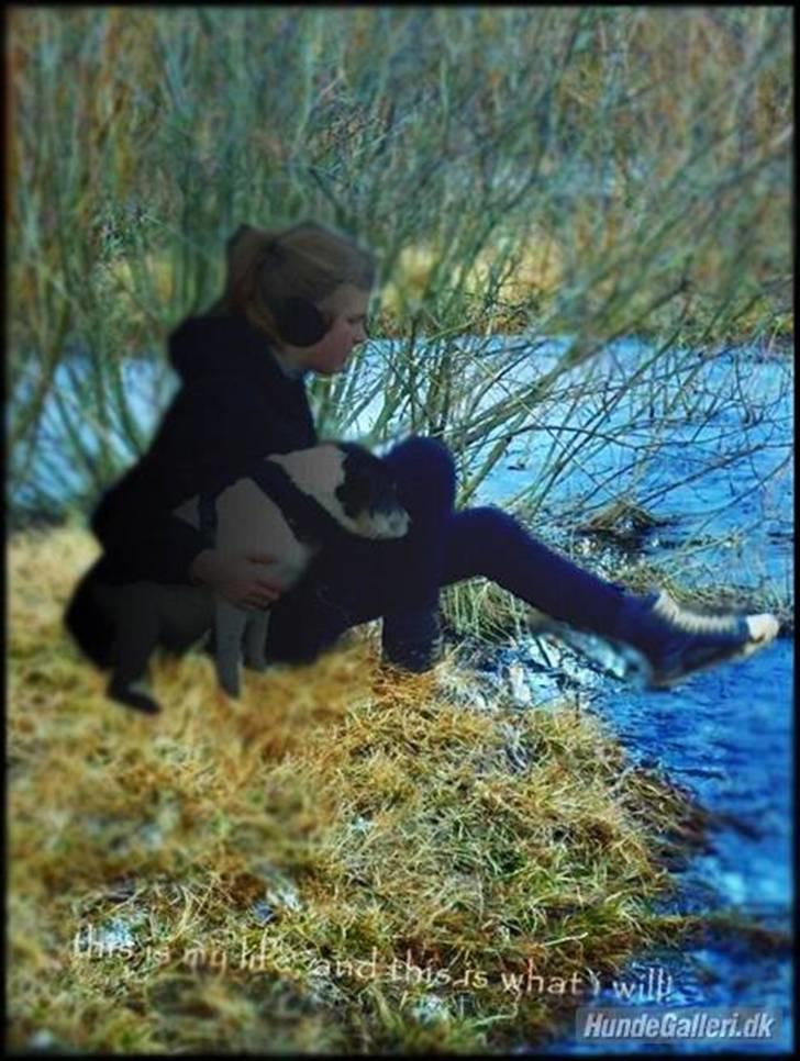 Blanding af racer Perle;i<3 billede 10