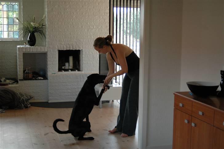 Blanding af racer ODIN - Goddag til mor.. billede 6