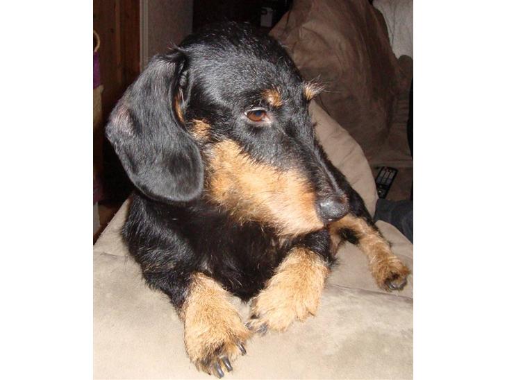 {{currentPhoto.altText}} billede {{currentPhoto.number}}