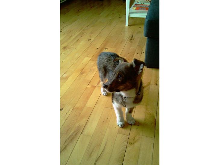 {{currentPhoto.altText}} billede {{currentPhoto.number}}