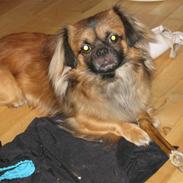 Blanding af racer nano