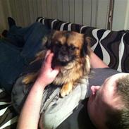 Blanding af racer nano