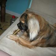 Blanding af racer nano