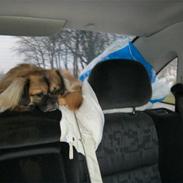 Blanding af racer nano