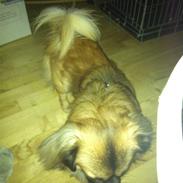 Blanding af racer nano