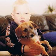 Blanding af racer Tage/Junior R.I.P