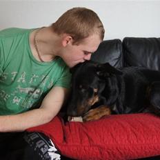 Blanding af racer Nikita R.I.P