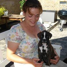 Boxer Beckie