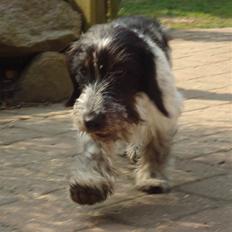 Blanding af racer Klara kluk!<3