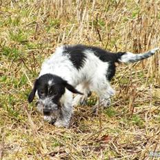 Blanding af racer Klara kluk!<3