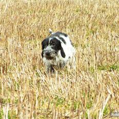 Blanding af racer Klara kluk!<3