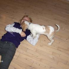 Blanding af racer Smoothie